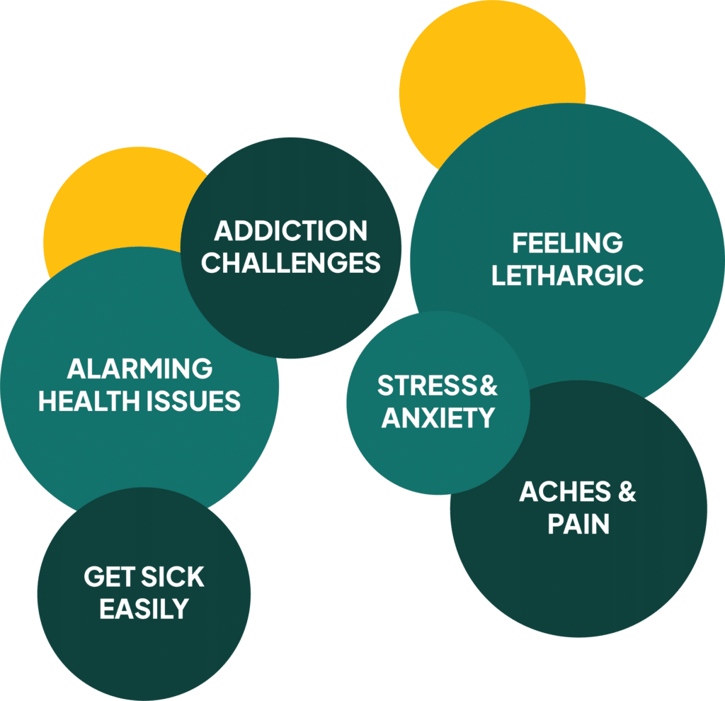 Personal training Kuala Lumpur for corporates employees executives for their health and fitness